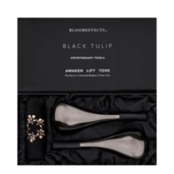 BloomEffects Black Tulip Cryotherapy Tools -Skin Care Shop Black Tulip Cryotherapy Tools add3 71934 8466 general