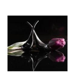 BloomEffects Black Tulip Cryotherapy Tools -Skin Care Shop Black Tulip Cryotherapy Tools add4 71934 7455 general