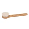 Province Apothecary Daily Glow Facial Dry Brush 1 Province Apothecary Daily Glow Facial Dry Brush -Skin Care Shop Daily Glow Facial Dry Brush 52635 5844 detail