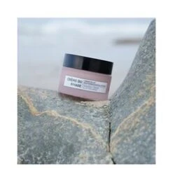 Algologie Radiance Firming And Lifting Cream 14 Algologie Radiance Firming And Lifting Cream -Skin Care Shop Radiance Firming and Lifting Cream add5 55118 4901 general