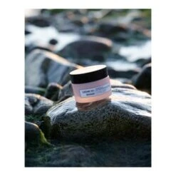 Algologie Radiance Firming And Lifting Cream 15 Algologie Radiance Firming And Lifting Cream -Skin Care Shop Radiance Firming and Lifting Cream add6 55118 6959 general